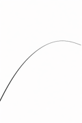 Perch Carbon